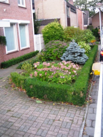 Tuin6_65_20