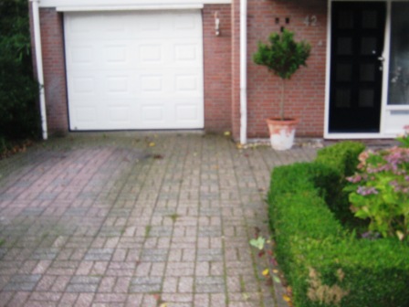 Tuin6_66_21