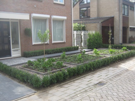 Tuin6_72_27
