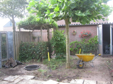 tuin10_107_foto2