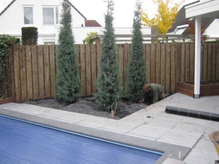 tuin2_35_IMG_0675